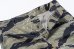画像3: TIGER CAMOUFLAGE SHORTS / TADPOLE (3)